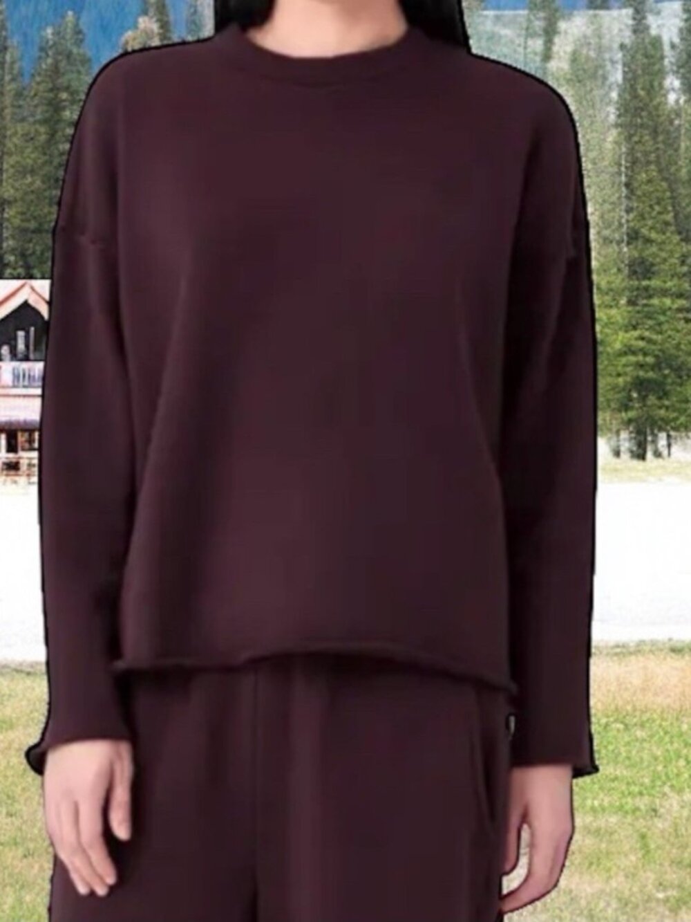 NWT Eileen Fisher Sweatshirt XXSmall Casis Oversized SOFT French Terry Organic